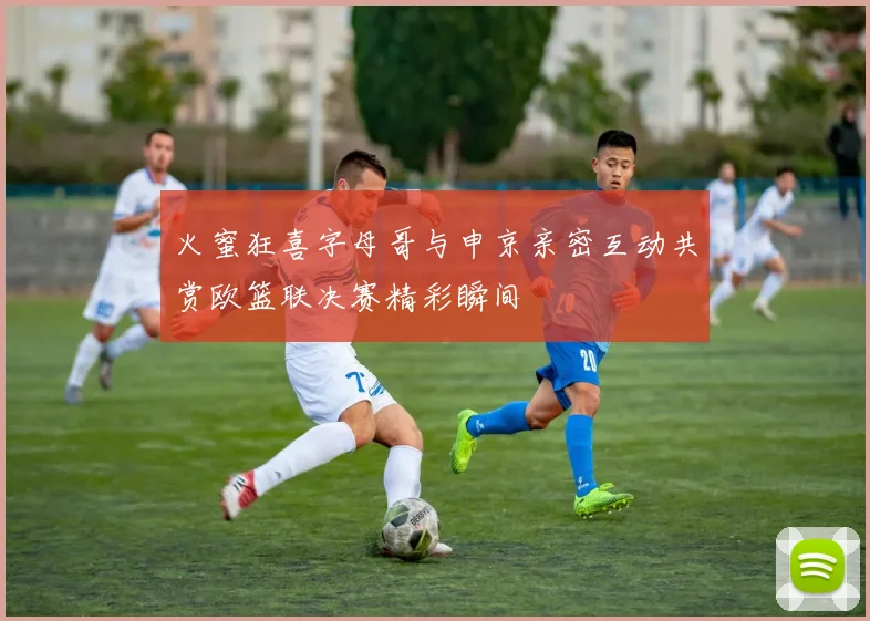 火蜜狂喜字母哥与申京亲密互动共赏欧篮联决赛精彩瞬间